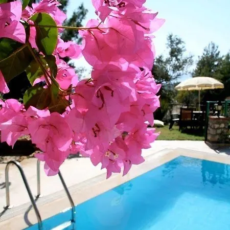 Turkuaz Butik Hotel Sarıgerme